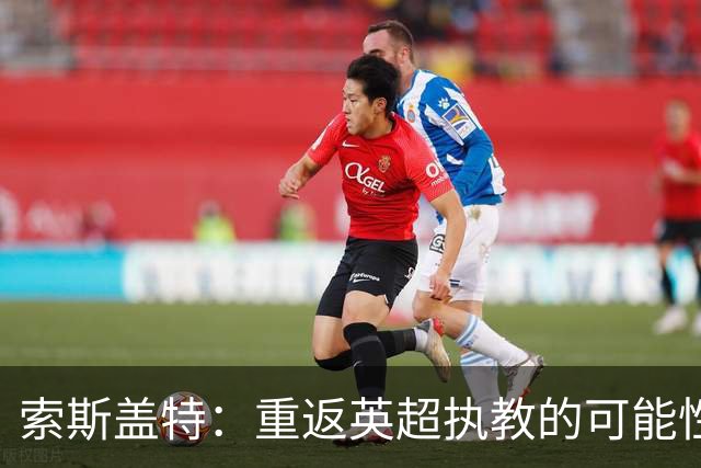 索斯盖特：重返英超执教的可能性几乎为零